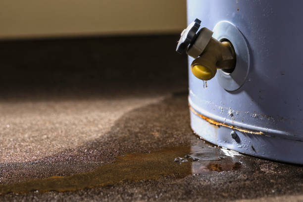 Best Sewage cleanup and water damage restoration  in St James, MO