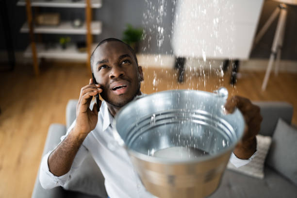 Best Water damage restoration near me  in St James, MO