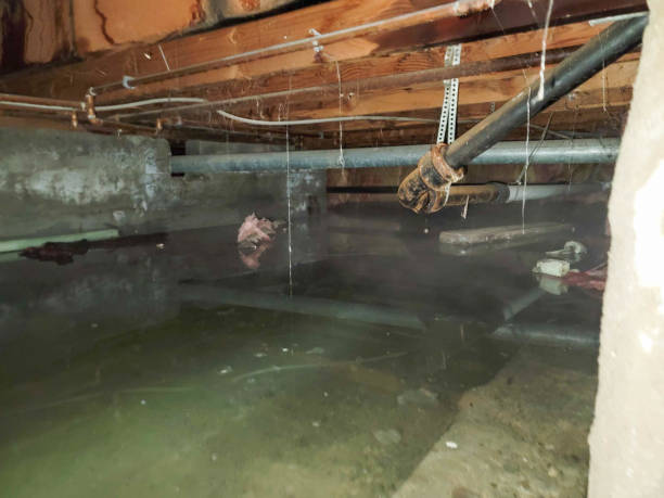 Best Emergency water damage restoration  in St James, MO