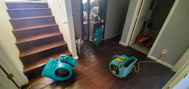 Best Fire Damage Restoration  in St James, MO