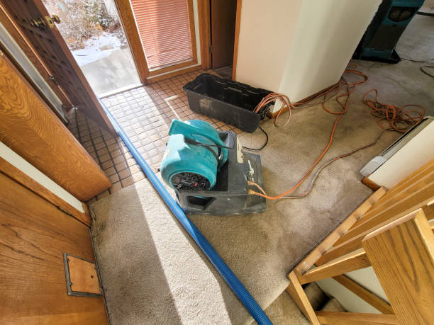 Best Water damage contractors near me  in St James, MO