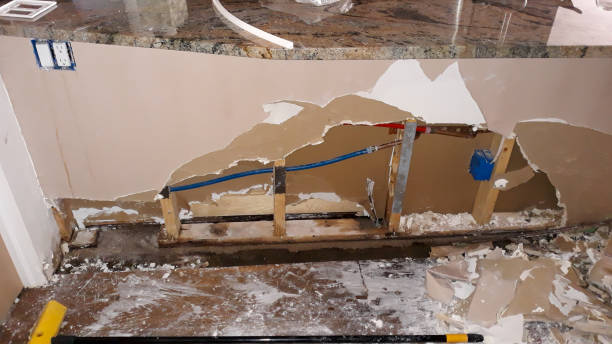 Best Professional water damage repair  in St James, MO