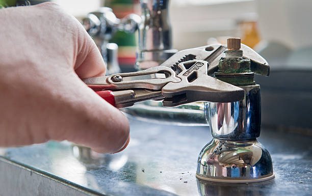 Best Mold removal after water damage  in St James, MO