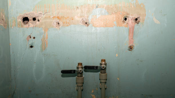 Best Flood restoration services  in St James, MO