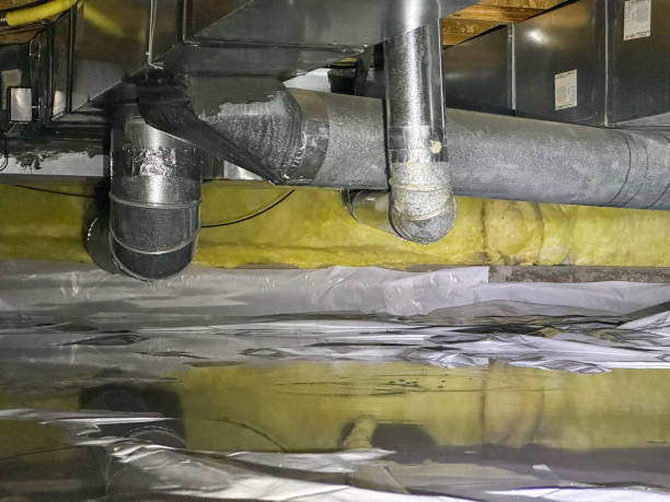 Best Flood damage cleanup  in St James, MO