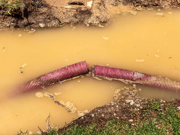 Best Basement water damage restoration  in St James, MO