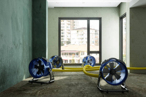 Best Local water damage restoration  in St James, MO