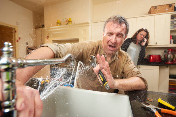 Best Mold removal after water damage  in St James, MO